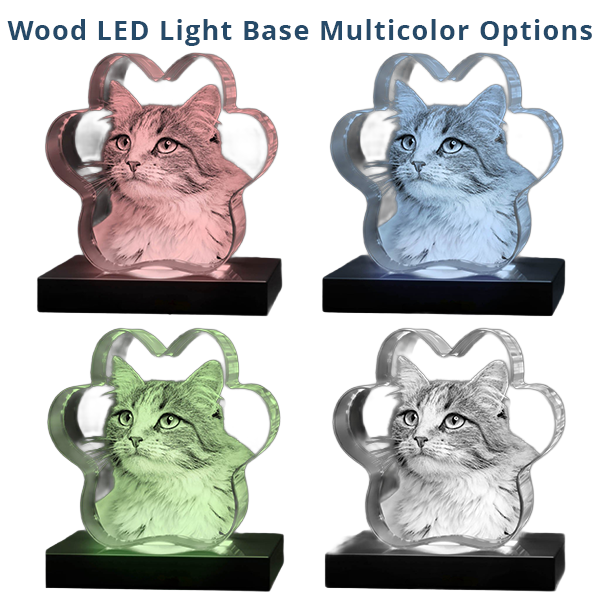 3D Crystal Paw - Image 8