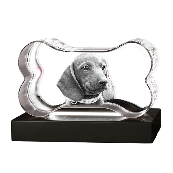 3D Crystal Bone - Image 3